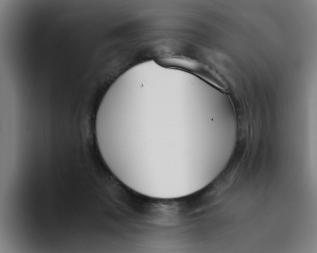 X0000094220317200711161854