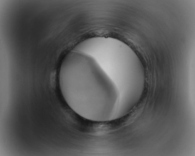 X0000094220319200711161854