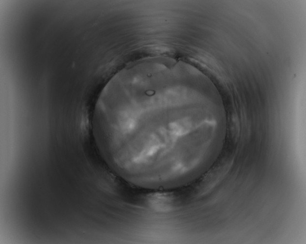 X0000094220320200711161854