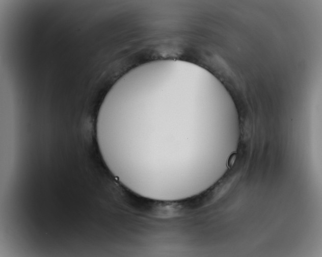 X0000094220321200711161854