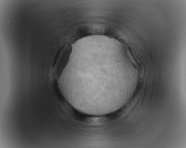 X0000094220323200711161854