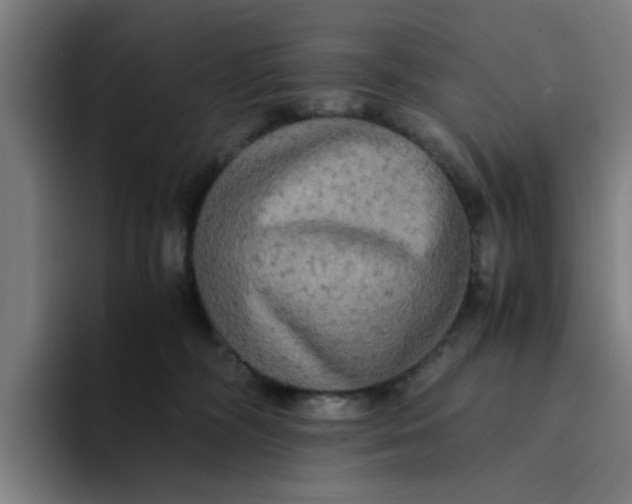 X0000094220326200711161854