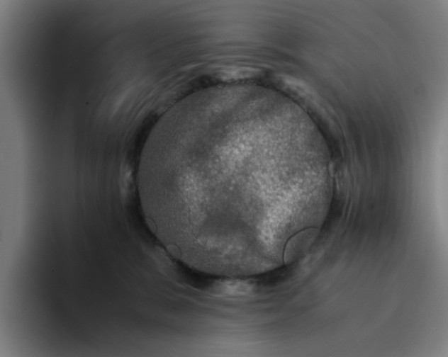 X0000094220327200711161854