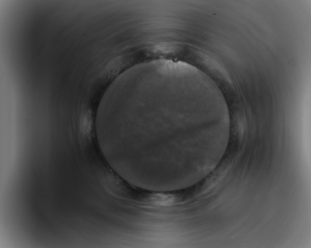 X0000094220328200711161854