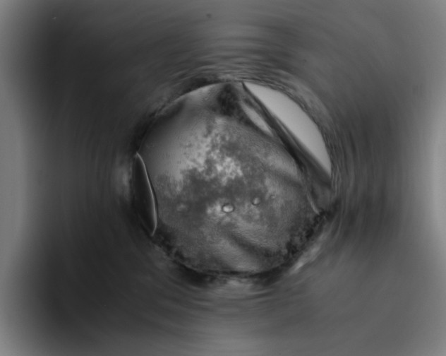 X0000094220329200711161854