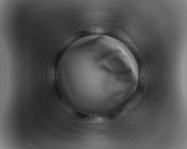 X0000094220330200711161854