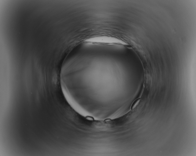 X0000094220331200711161854