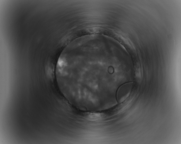 X0000094220332200711161854