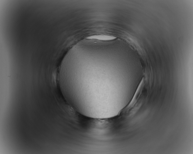 X0000094220333200711161854