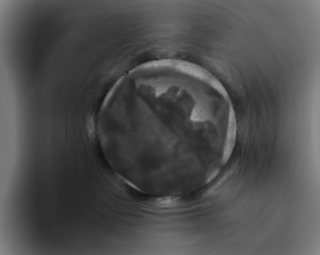 X0000094220335200711161854