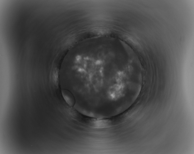 X0000094220336200711161854