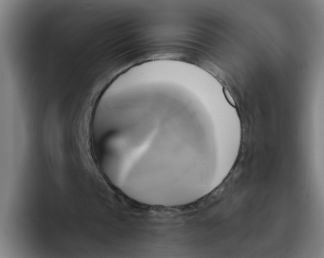 X0000094220337200711161853