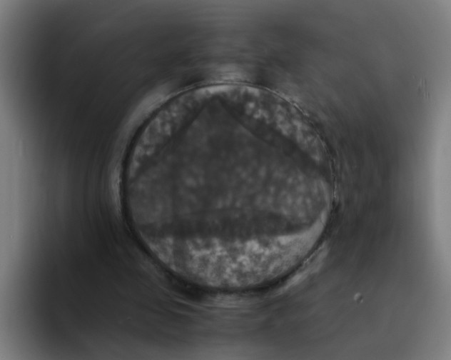 X0000094220341200711161853