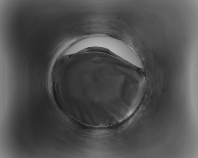 X0000094220342200711161853