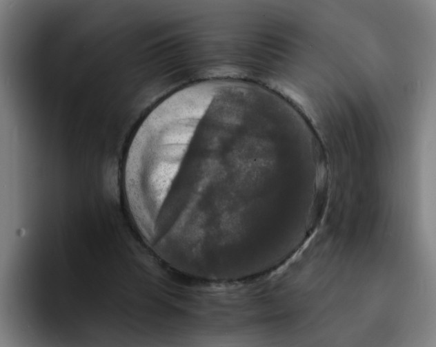 X0000094220345200711161853