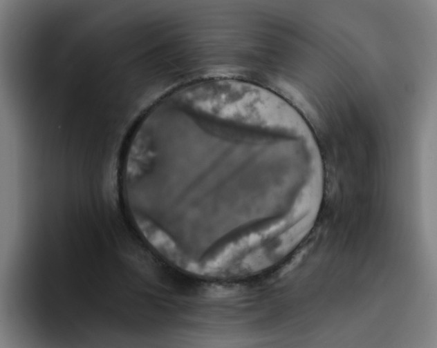 X0000094220346200711161853