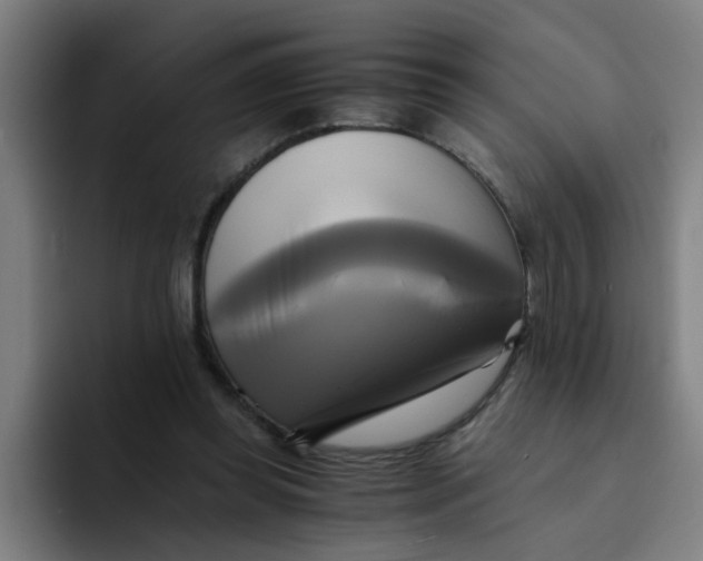 X0000094220349200711161853