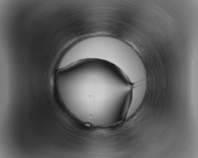 X0000094220350200711161853