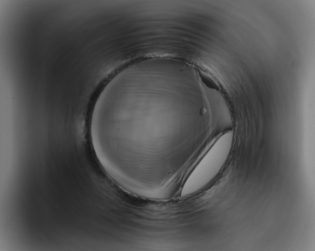 X0000094220351200711161853