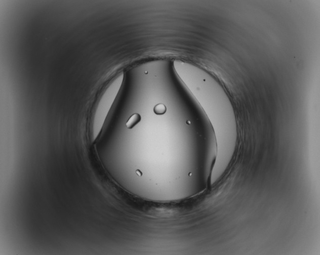 X0000094220352200711161853