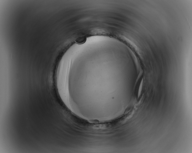 X0000094220353200711161853