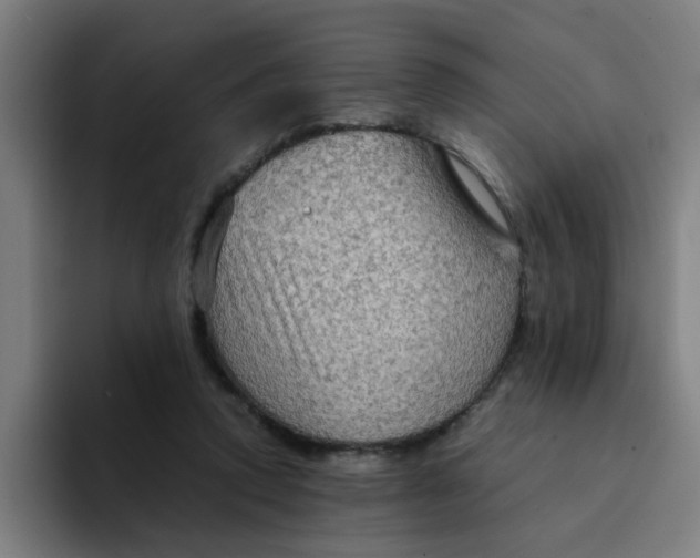 X0000094220354200711161853