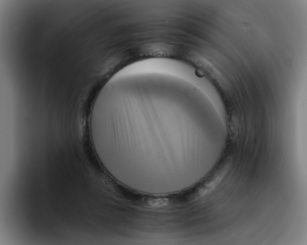 X0000094220355200711161853