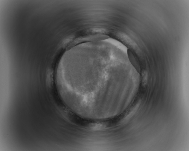 X0000094220356200711161853