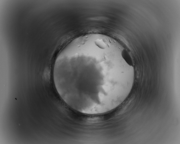 X0000094220357200711161853