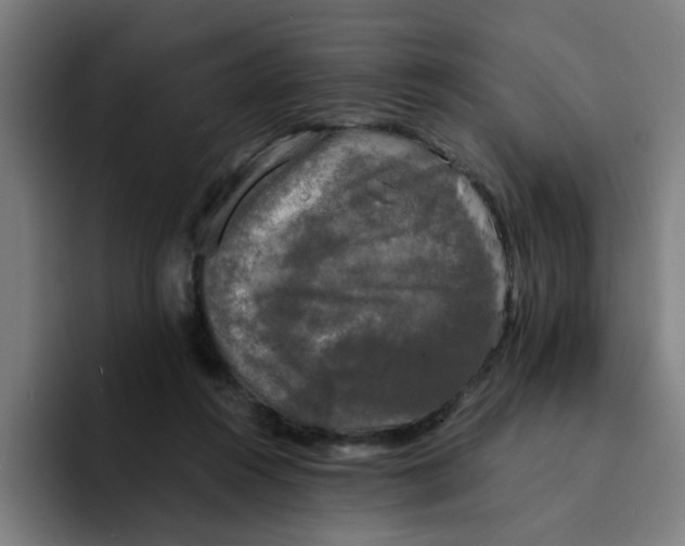 X0000094220360200711161854