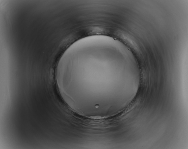 X0000094220361200711161854