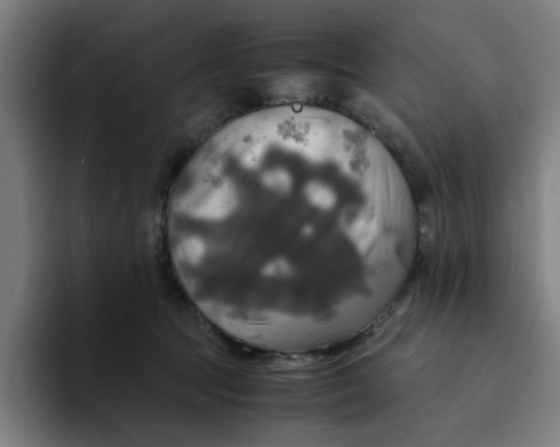 X0000094220369200711161854