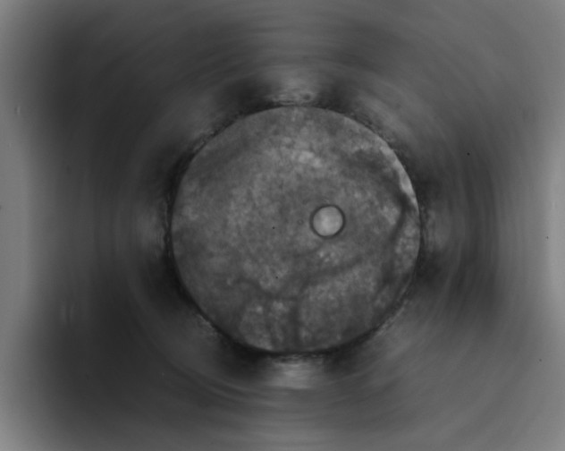 X0000094220370200711161854