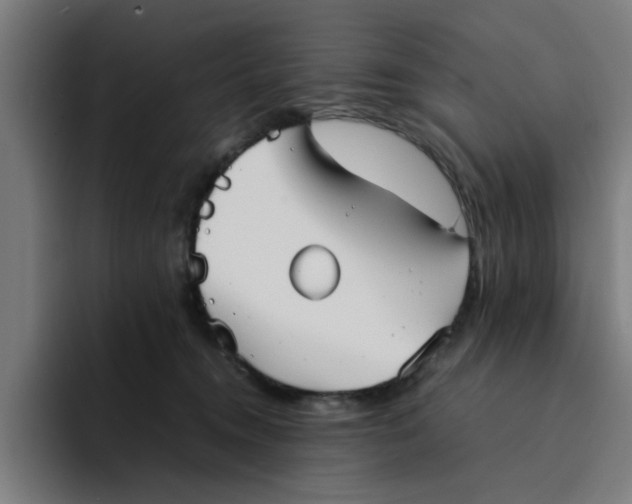 X0000094220372200711161854