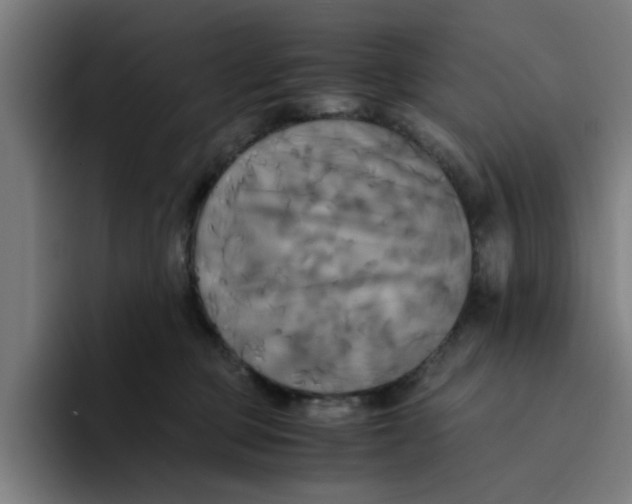 X0000094220373200711161854