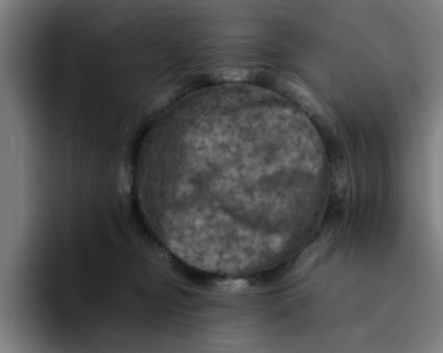 X0000094220374200711161854