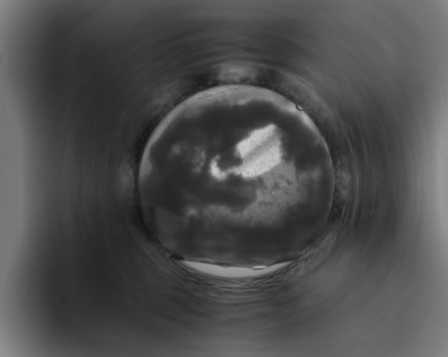 X0000094220375200711161854