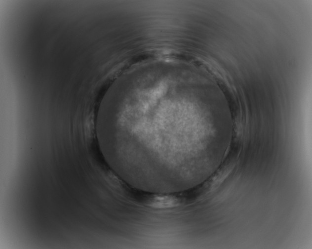 X0000094220376200711161854