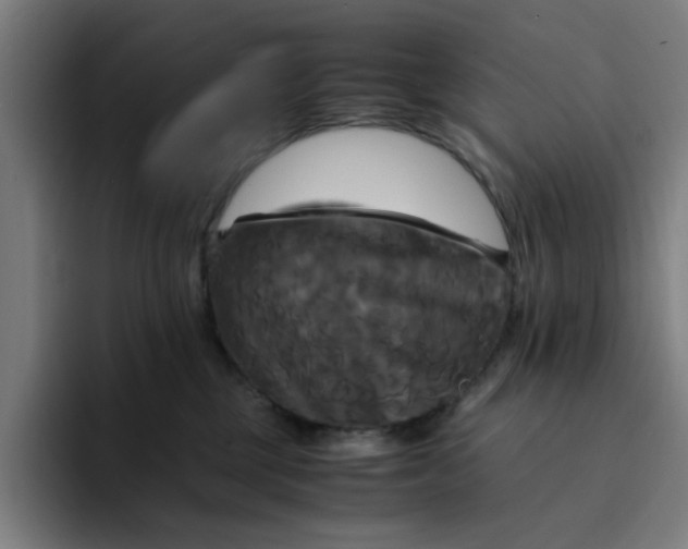 X0000094220377200711161854