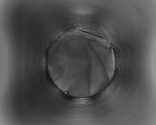 X0000094220378200711161854