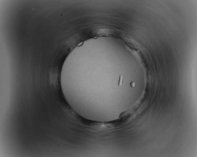 X0000094220379200711161854