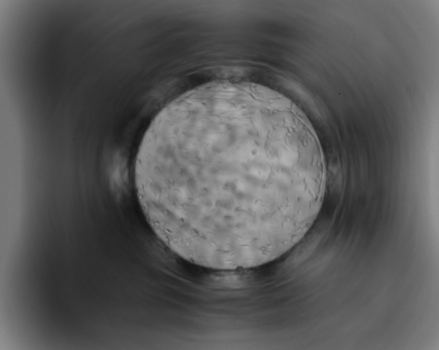 X0000094220381200711161854