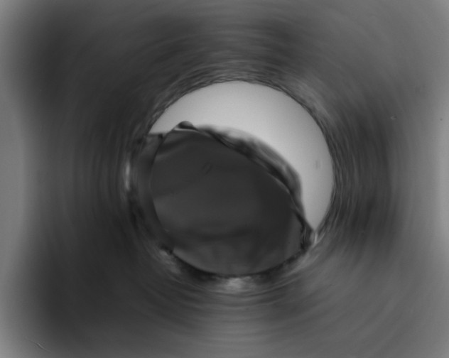 X0000094220382200711161854