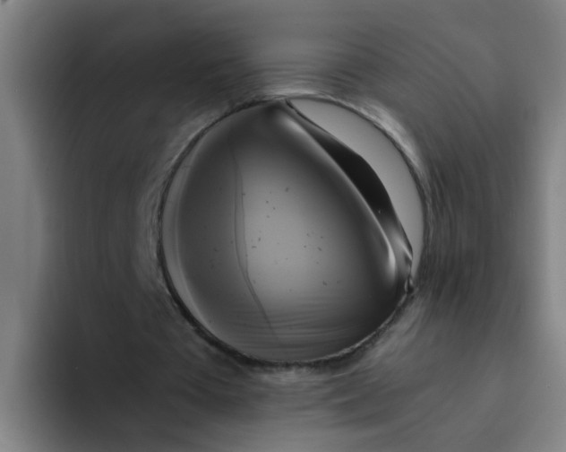 X0000094220385200711161853