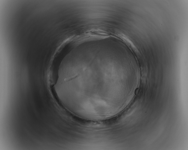 X0000094220386200711161853