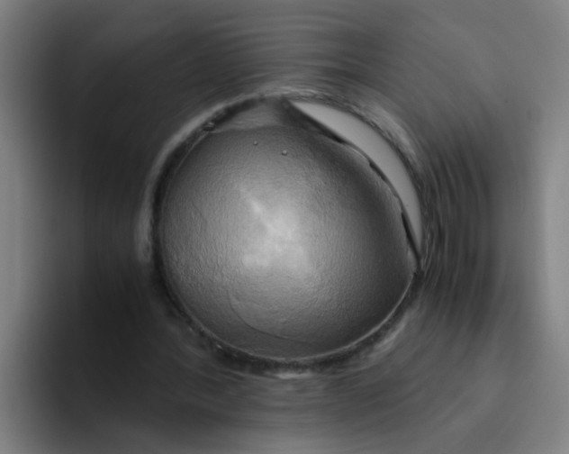 X0000094220388200711161853