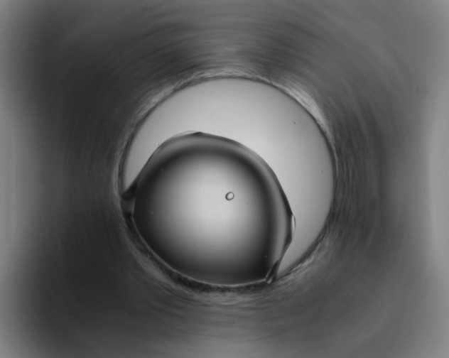 X0000094220389200711161853