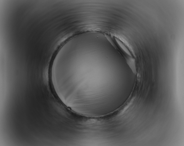 X0000094220390200711161853