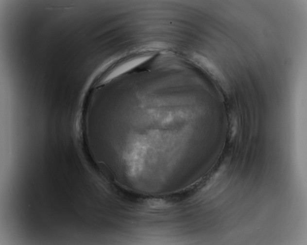 X0000094220392200711161853