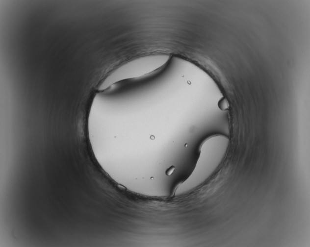 X0000094220393200711161853